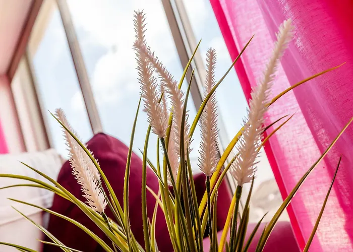 Appartement Spectacular 2 Bed Apartment, Huge Terrace And Sea View *